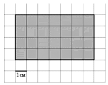 Прямоугольник в клетку. Прямоугольник на листе в клетку. Прямоугольник на клетчатой бумаге. Площадь прямоугольника на клетчатой бумаге. Площадь прямоугольника по клеткам.